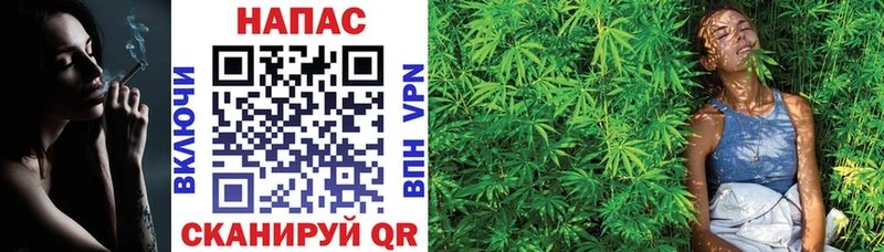 Бошки марихуана White Widow  Обнинск 